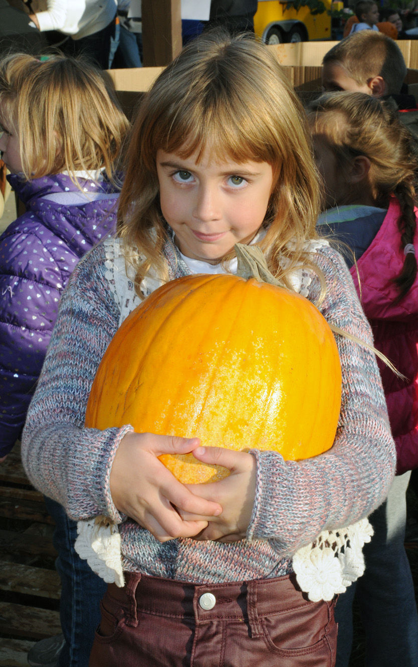 Fall Furnace Fest